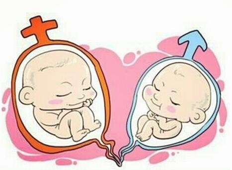 孕妇秀大肚子