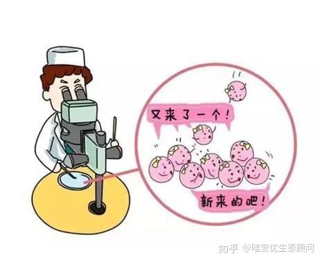 孕妇胎儿偏小