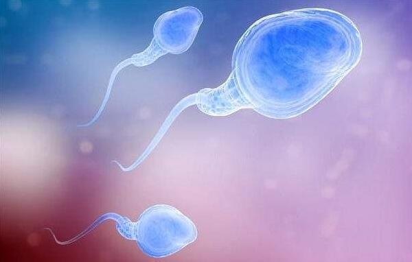 孕妇禁吃十大水果