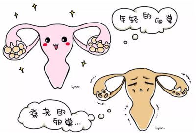 孕妇练瑜伽