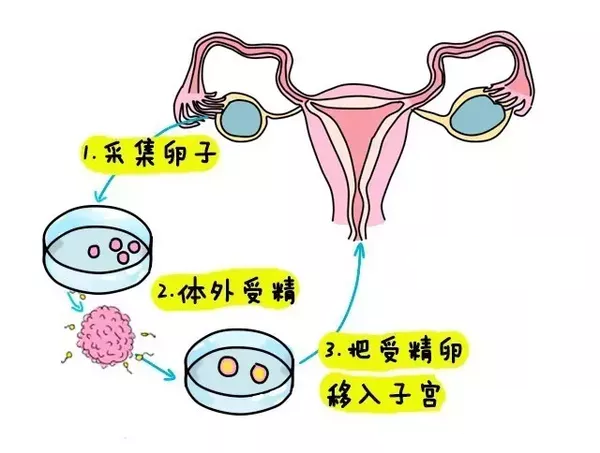 孕妇胎儿偏小